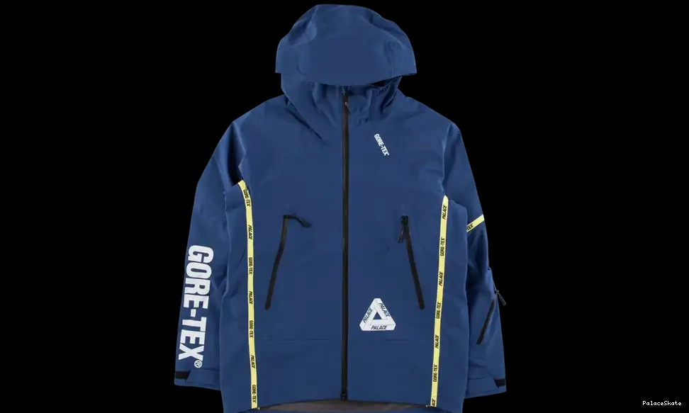 Cheap Palace Gore-Tex Palex Jacket 0627